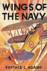 Air Combat Series #6 Wings of the Navy Dust-Jacket