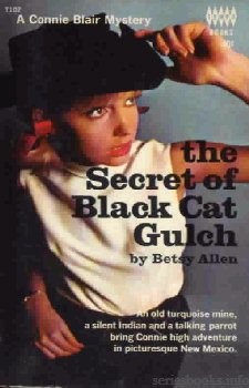 Connie Blair Cover Art