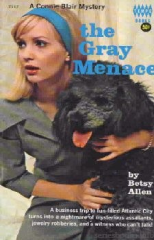 Connie Blair Cover Art