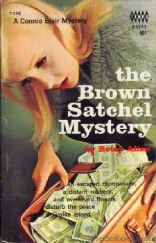 Connie Blair Cover Art